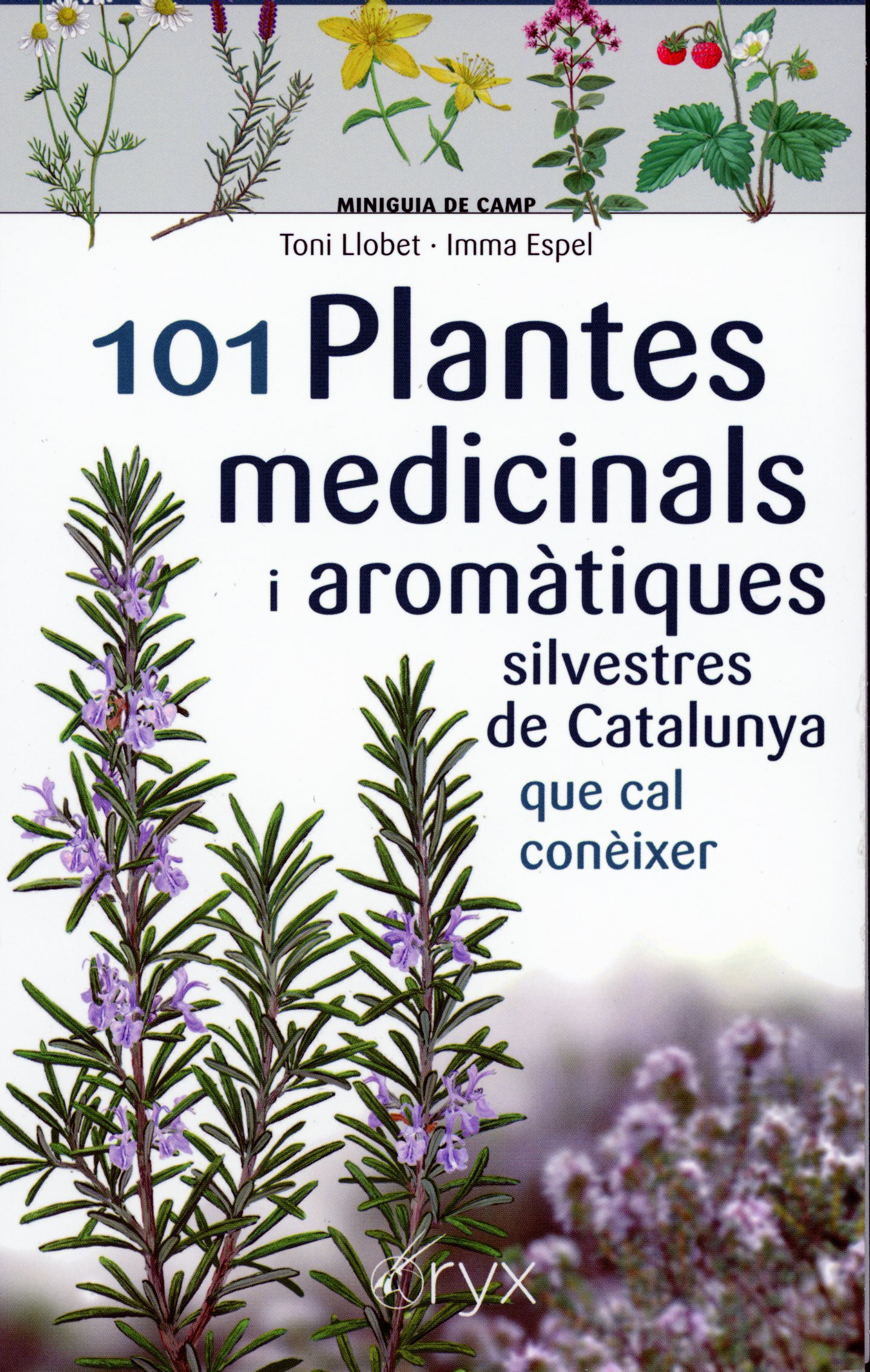 101 plantes medicinales i aromàtiques silvestres de Catalunya que cal conèixer - Portada