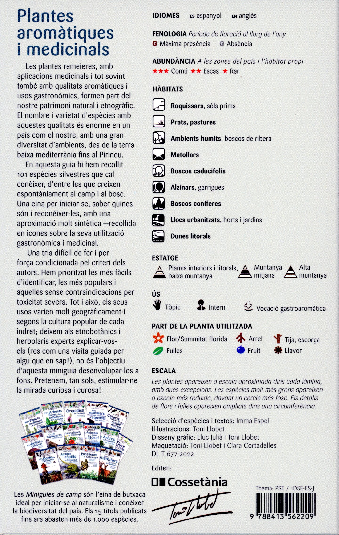 101 plantes medicinales i aromàtiques silvestres de Catalunya que cal conèixer - Miniatura 2