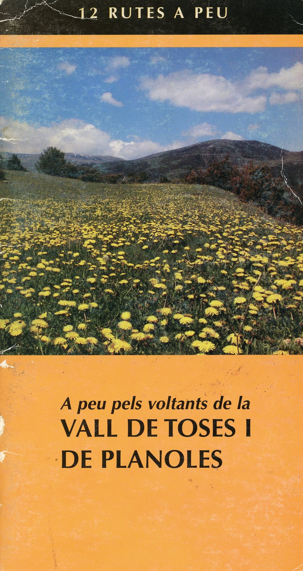 A peu pels voltants de la Vall de Toses i de Planoles - Portada