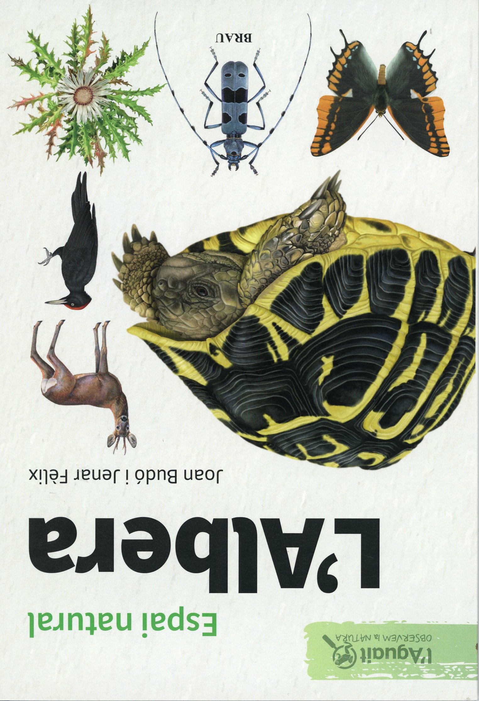 Espai natural : L'Albera - Portada