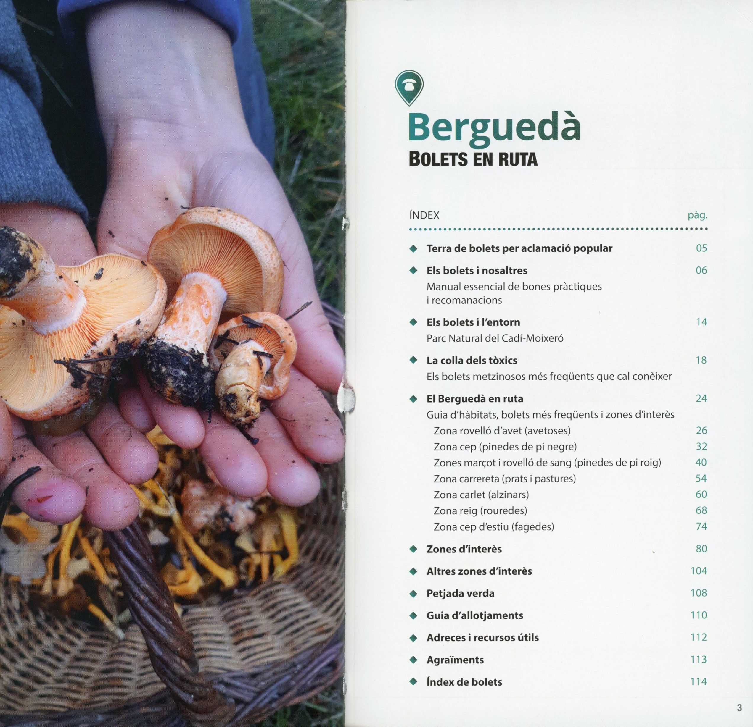 Berguedà : Bolets en ruta - Miniatura 2