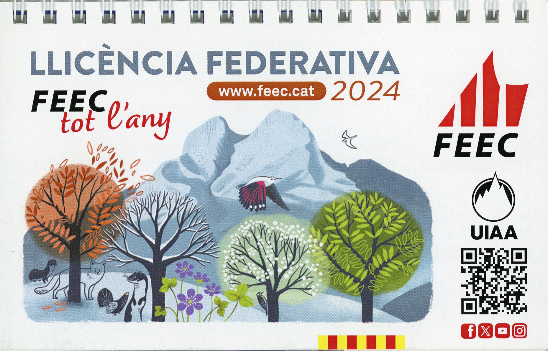 [Calendari de sobretaula] Llicència federativa 20024 : FEEC tot l'any - Portada