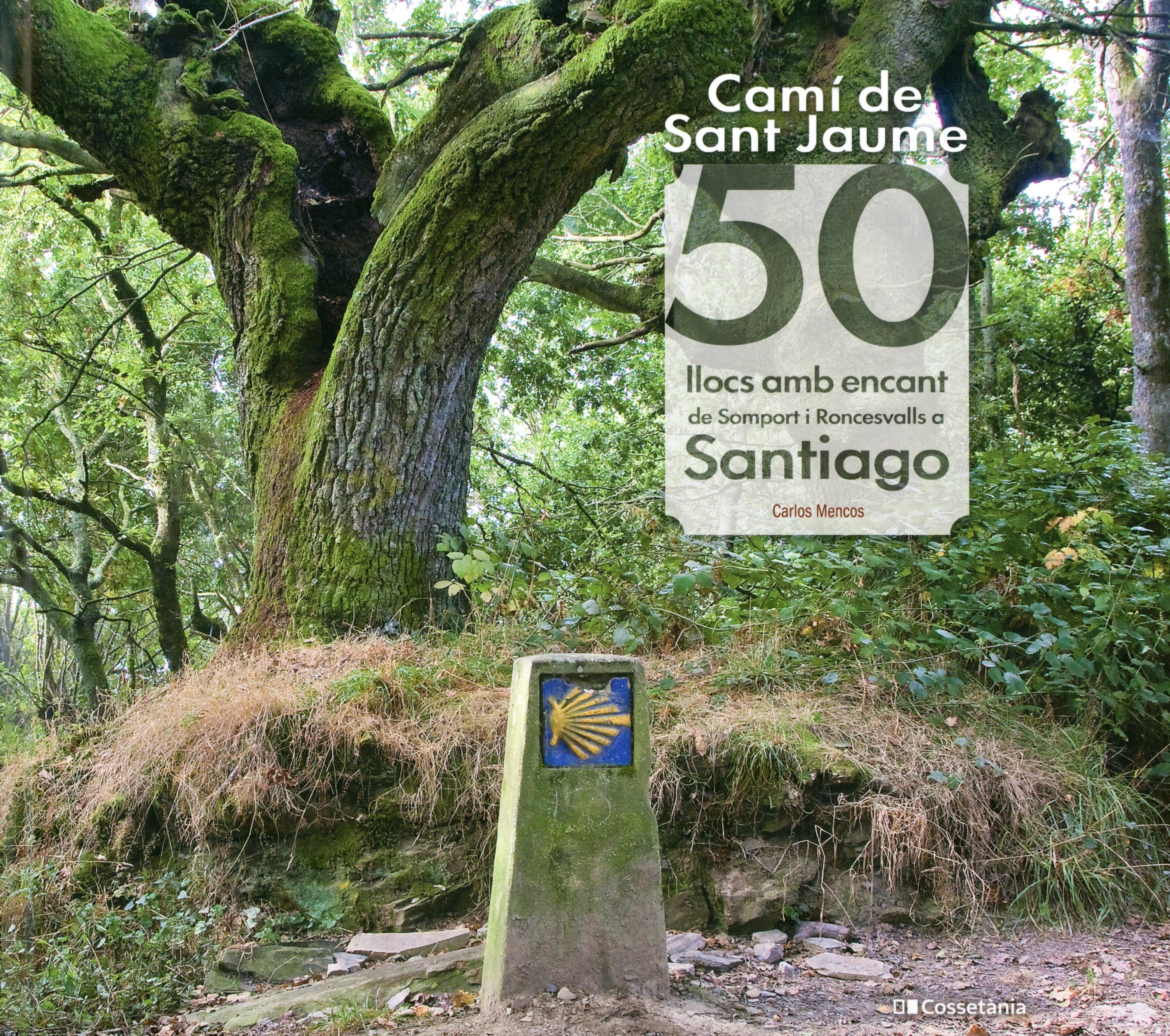 Camí de Sant Jaume : 50 llocs amb encant de Somport i Roncesvalls a Santiago - Portada