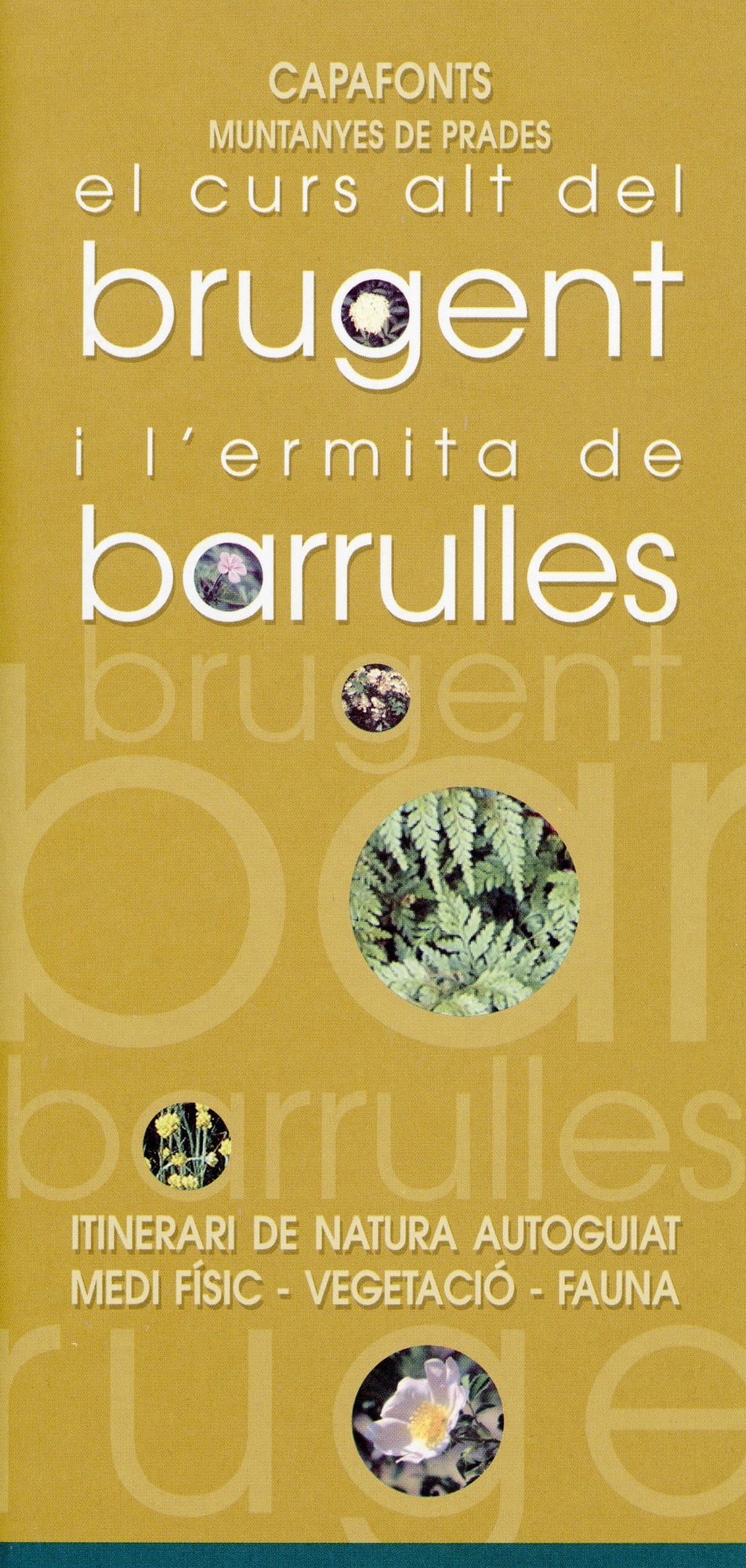 Capafonts : Muntanyes de Prades : El curs alt del brugent i l'ermita de Barrulles : Itinerari de natura autoguiat medi físic - vegetació - fauna - Portada
