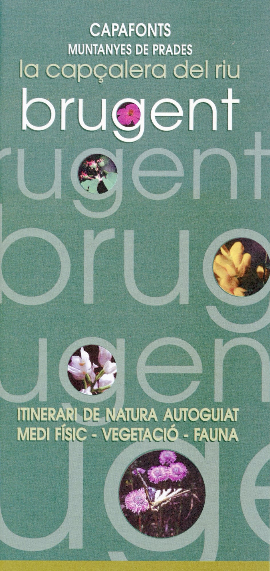 Capafonts : Muntanyes de Prades : La capçalera del riu Brugent : Itinerari de natura autoguiat medi físic - vegetació - fauna - Portada