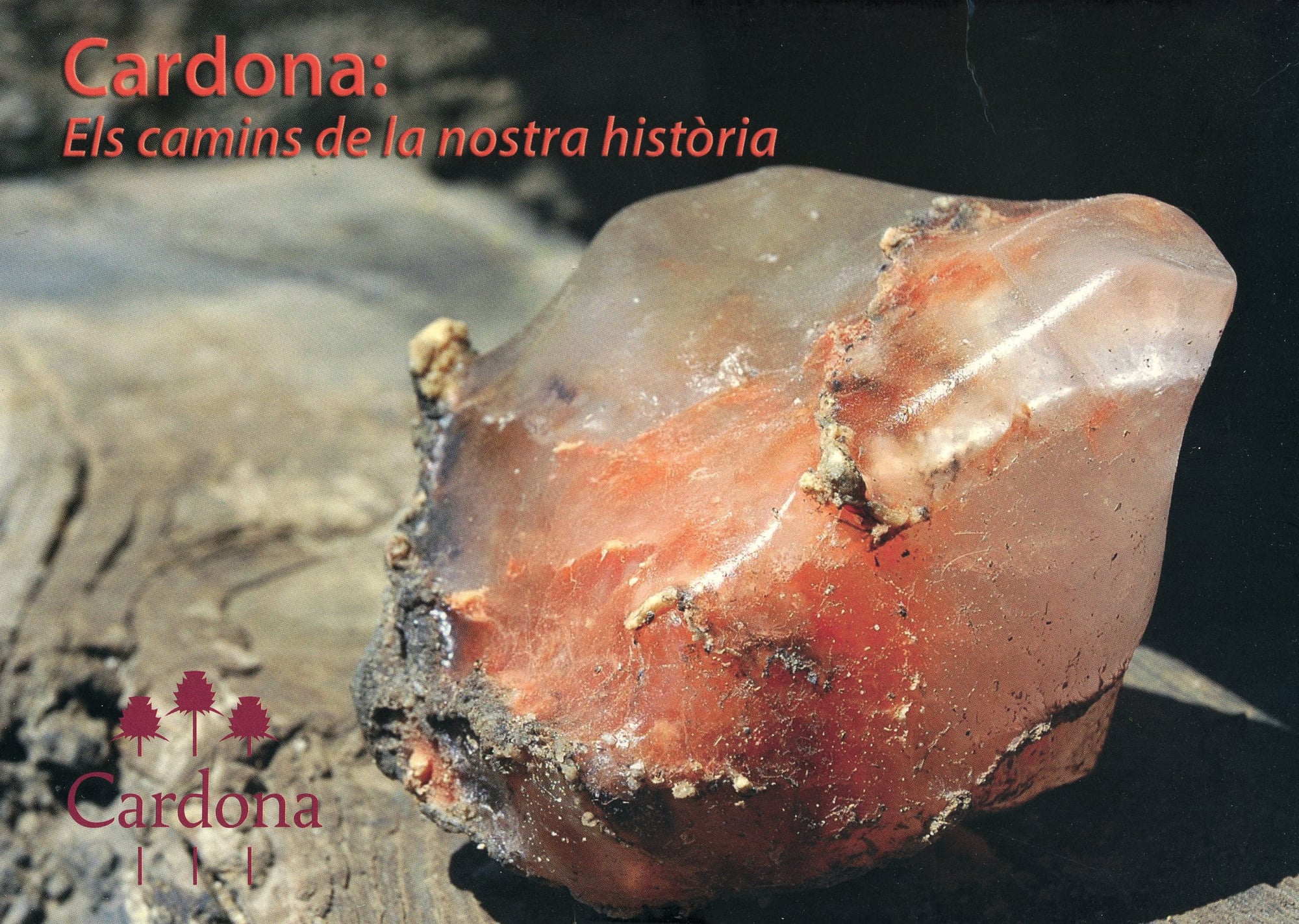 Cardona : Els camins de la nostra història - Portada