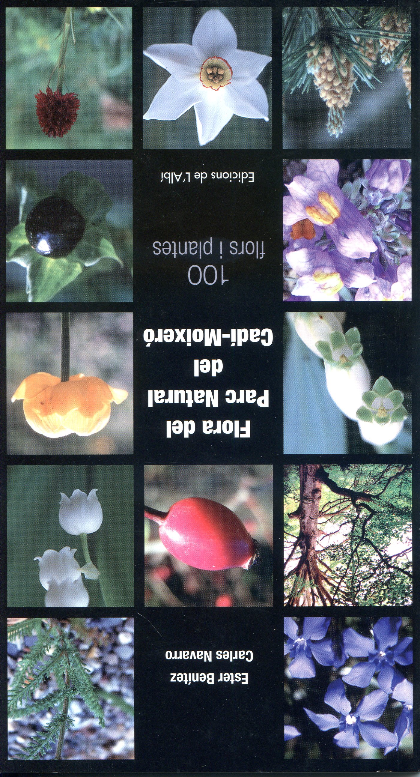 Flora del Parc Natural del Cadí-Moixeró : 100 plantes i flors - Portada
