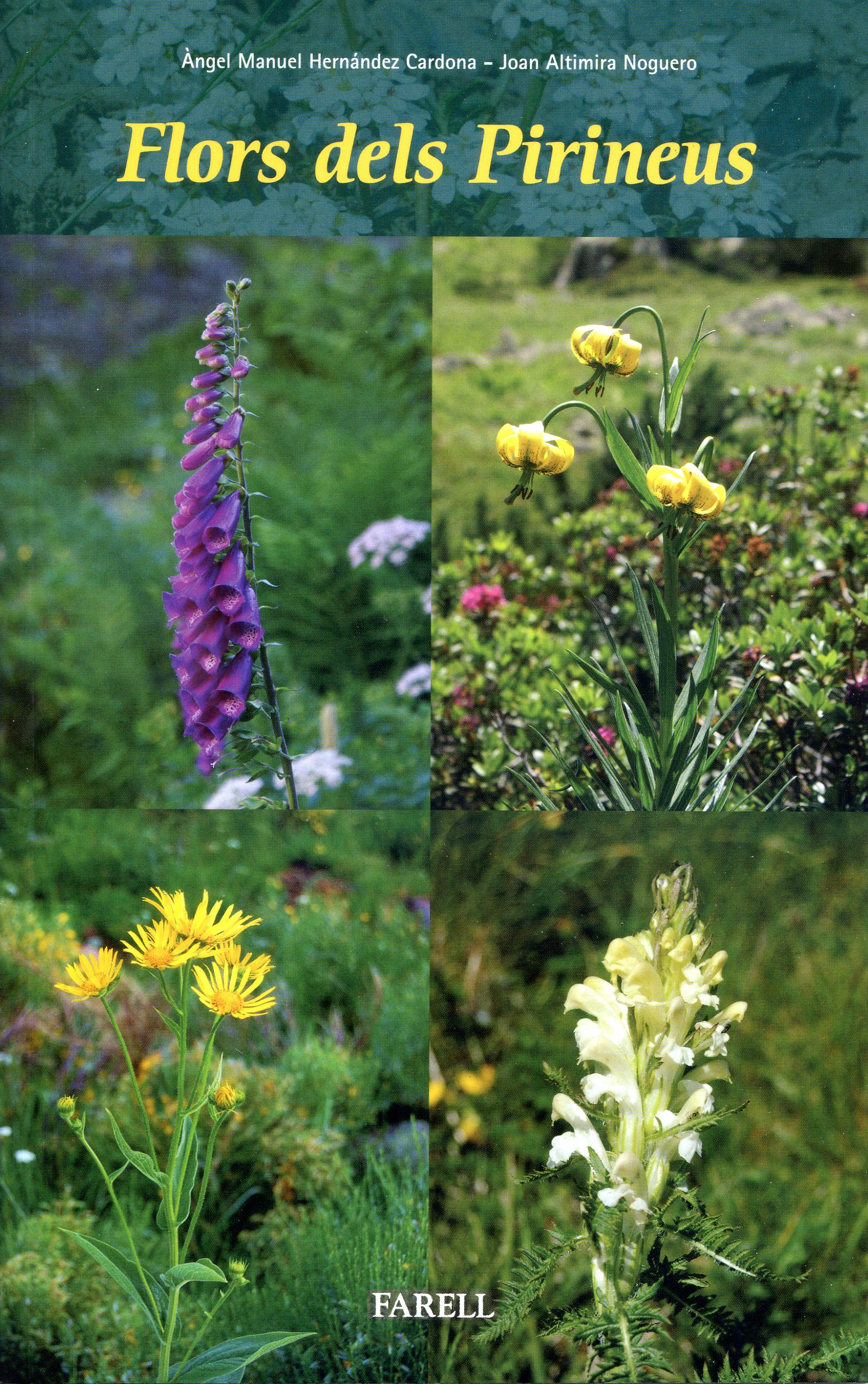Flors del Pirineus - Portada