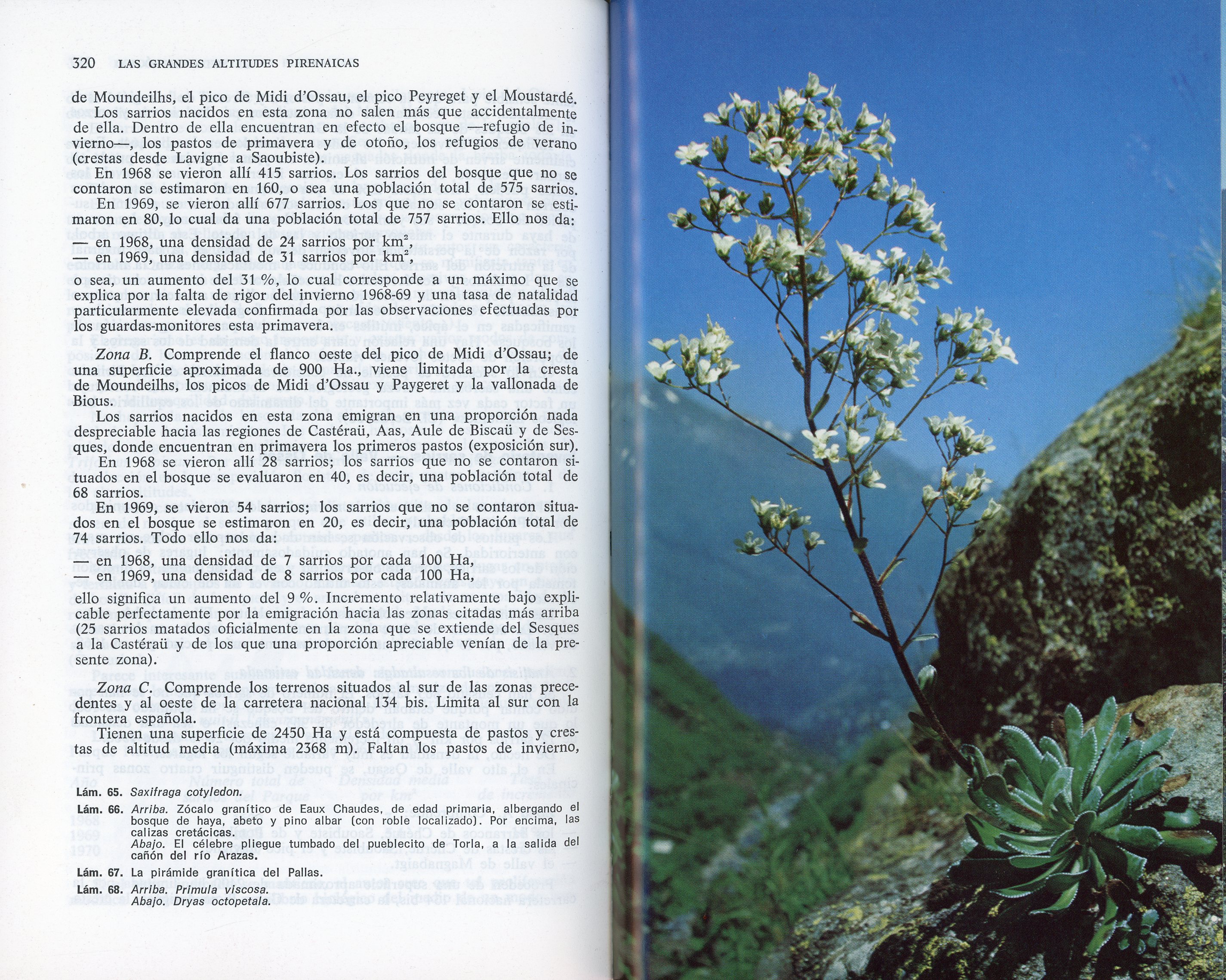 Guía de los Pirineos : Elementos de geología, ecología y biología - Miniatura 6
