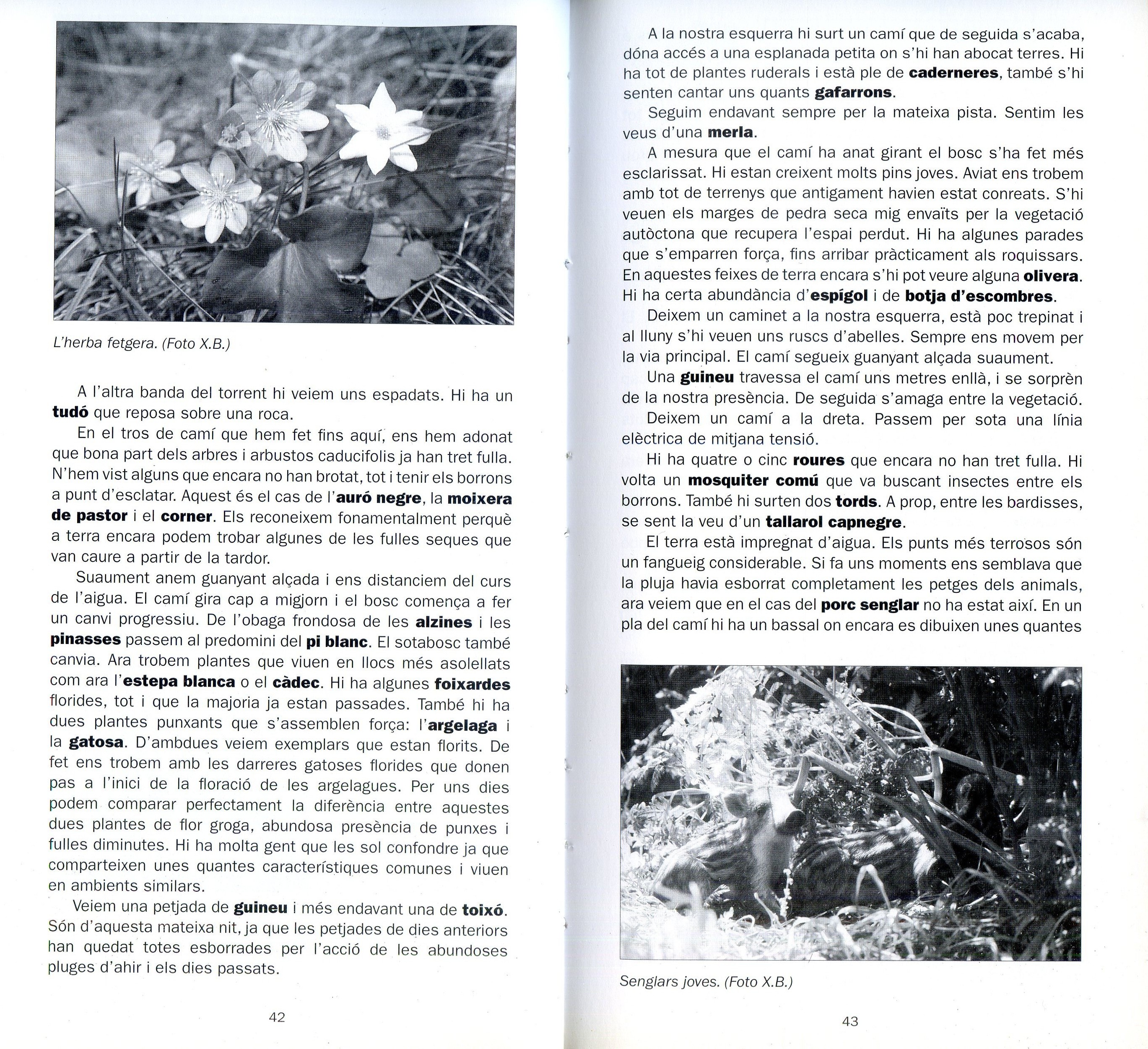 Itineraris de natura pel Gaià, el Foix i l'Anoia   El curs de l'any - Miniatura 3