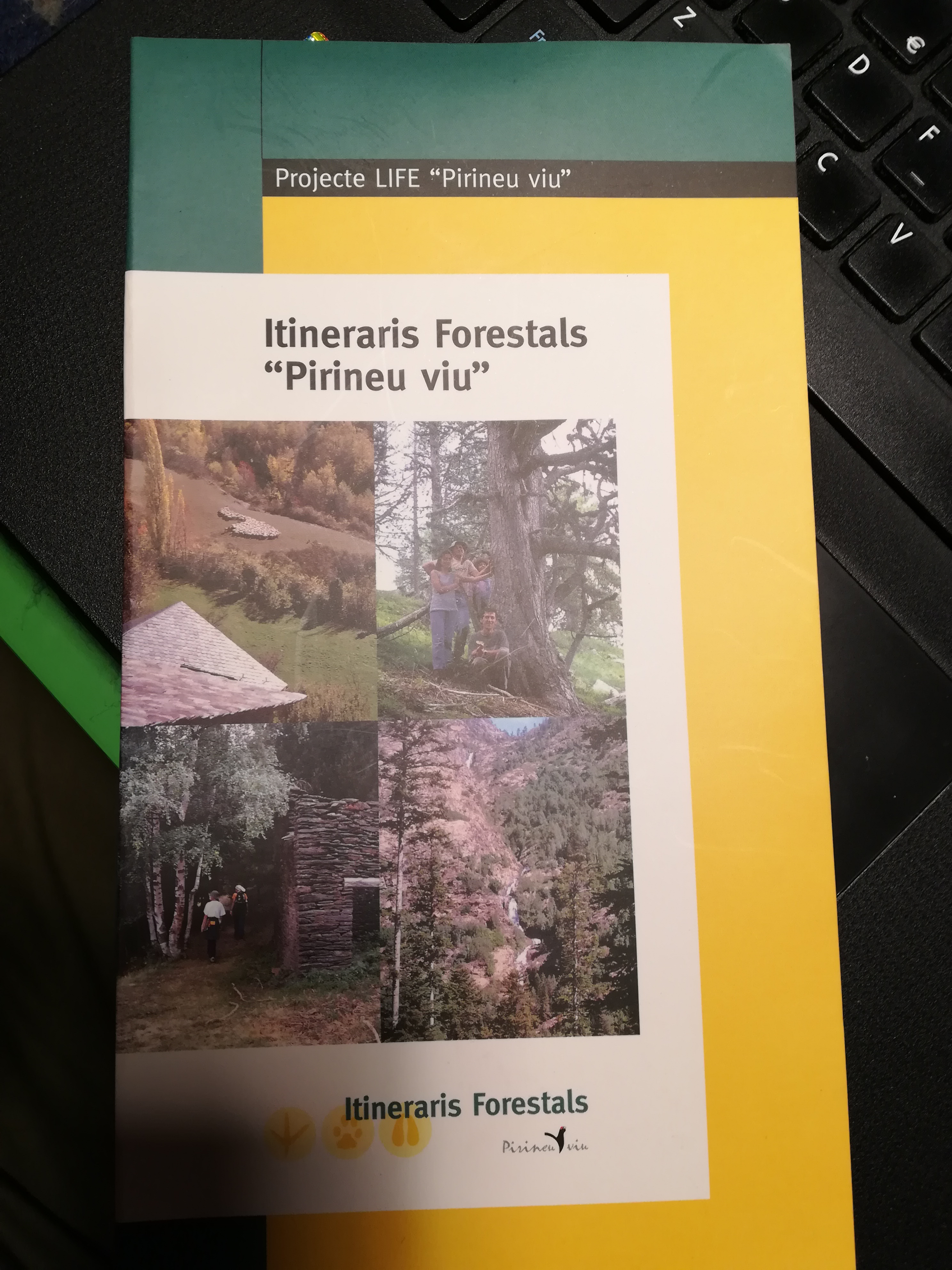 Itineraris forestals "Pirineu viu" : Projecte LIFE "Pirineu viu" - Portada