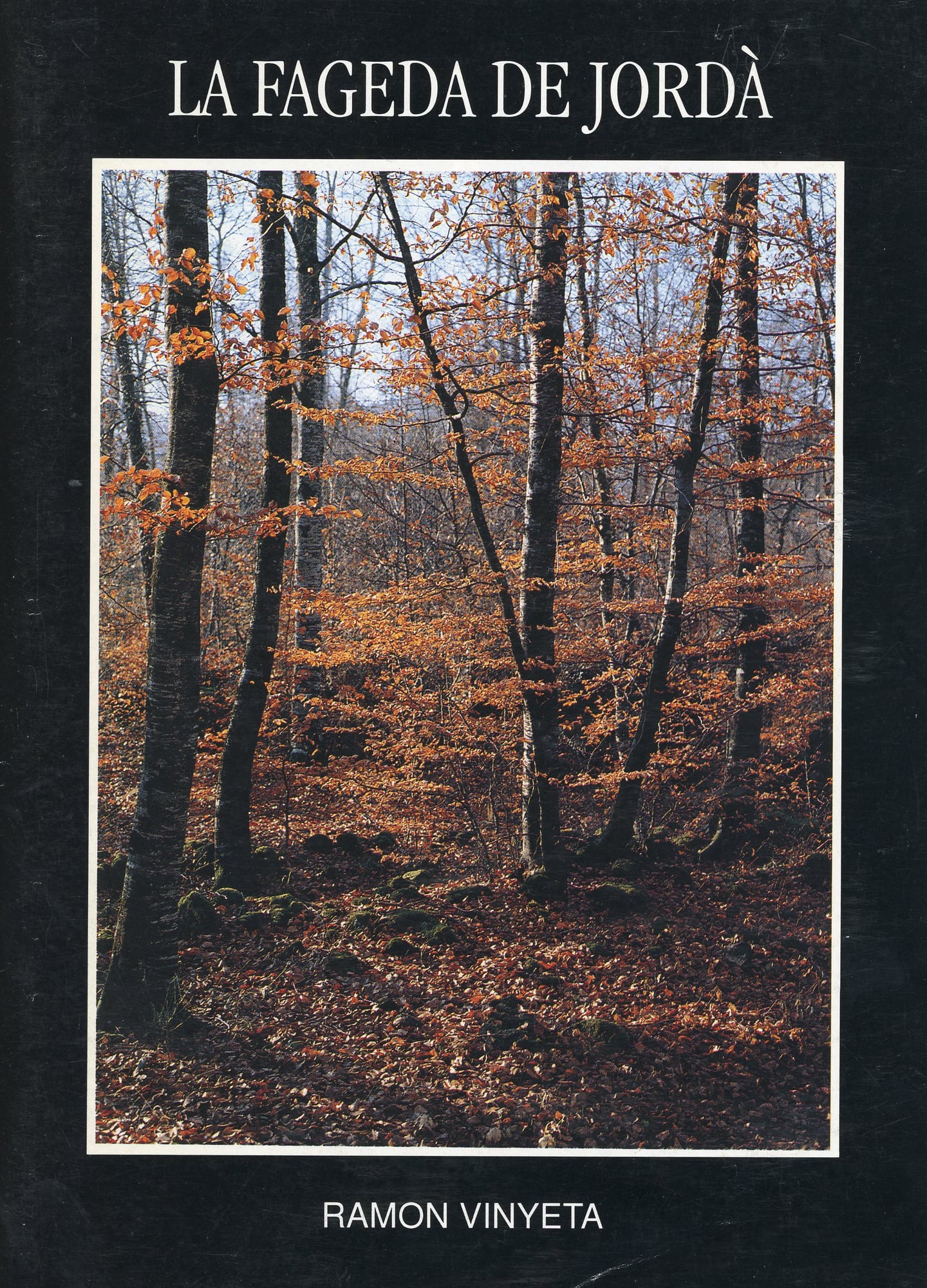Fageda de Jordà, La - Portada