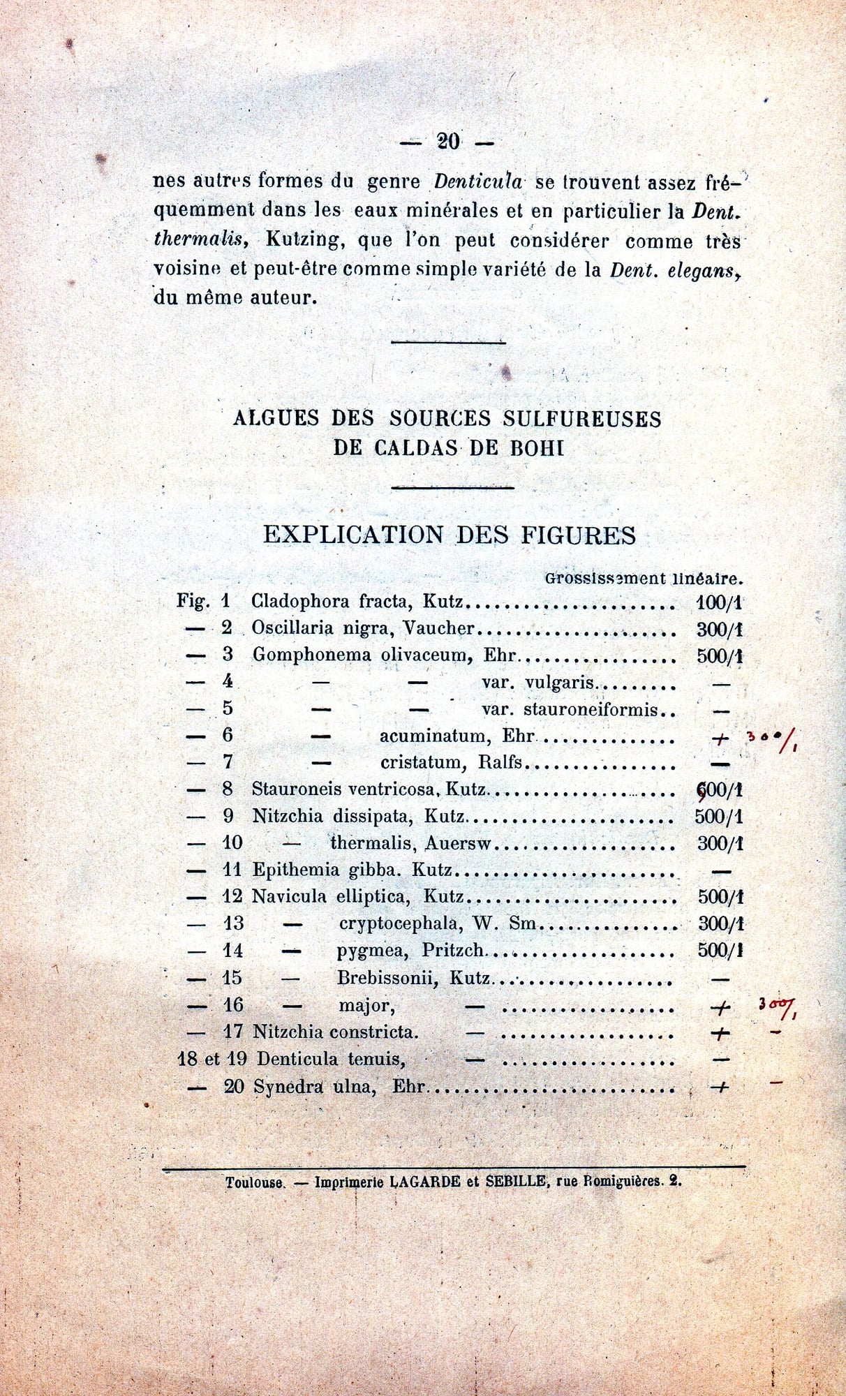 Algues de Sources Sulfureuses de Caldas de Bohi, Les : (Pyrénées Espagnoles) - Miniatura 3