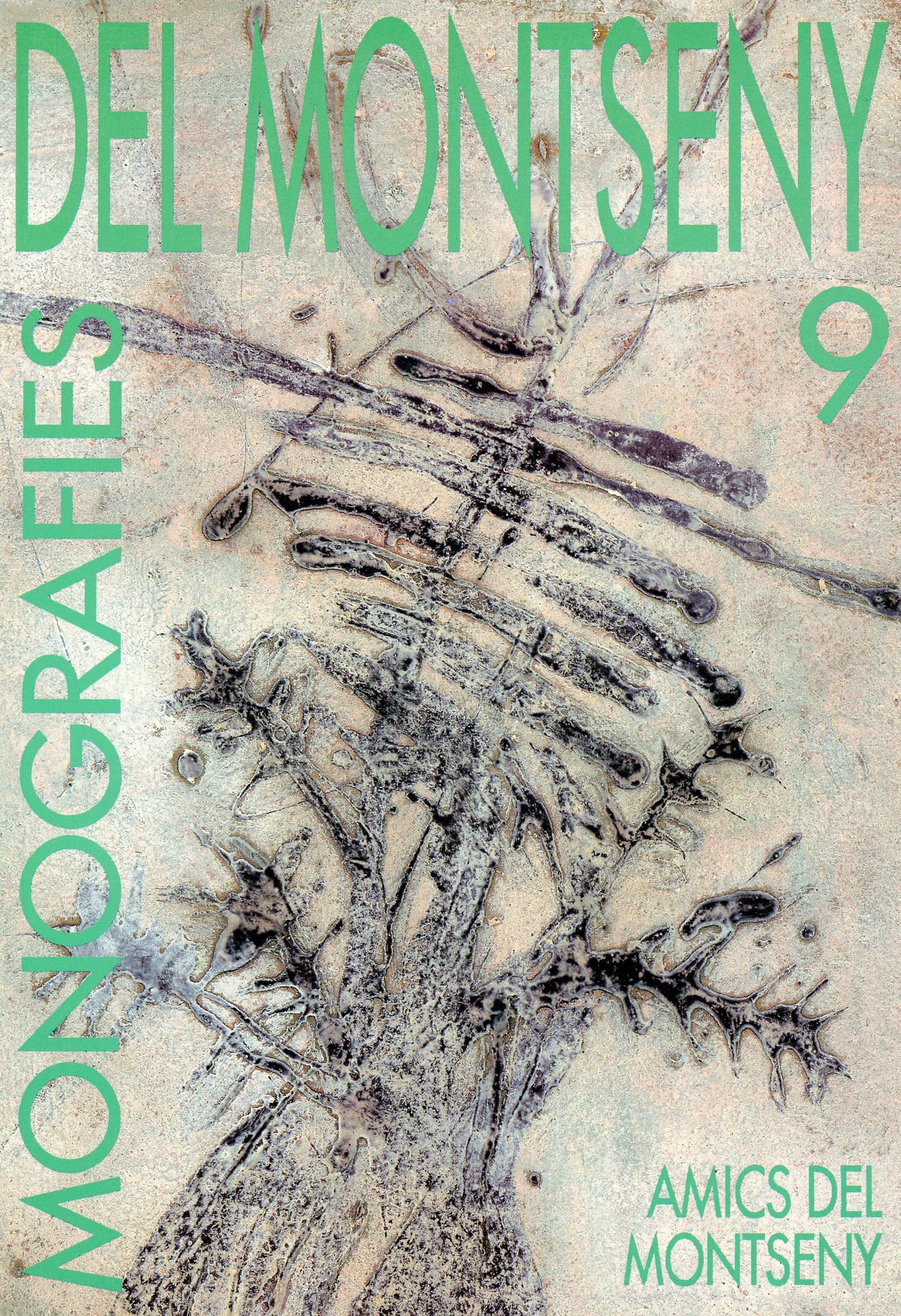 Monografies del Montseny / 9 - Portada