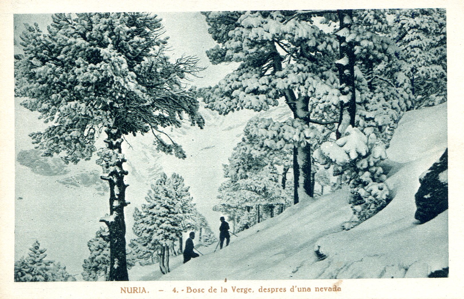 NURIA. - 4. - Bosc de la Verge, després d'una nevada - Portada