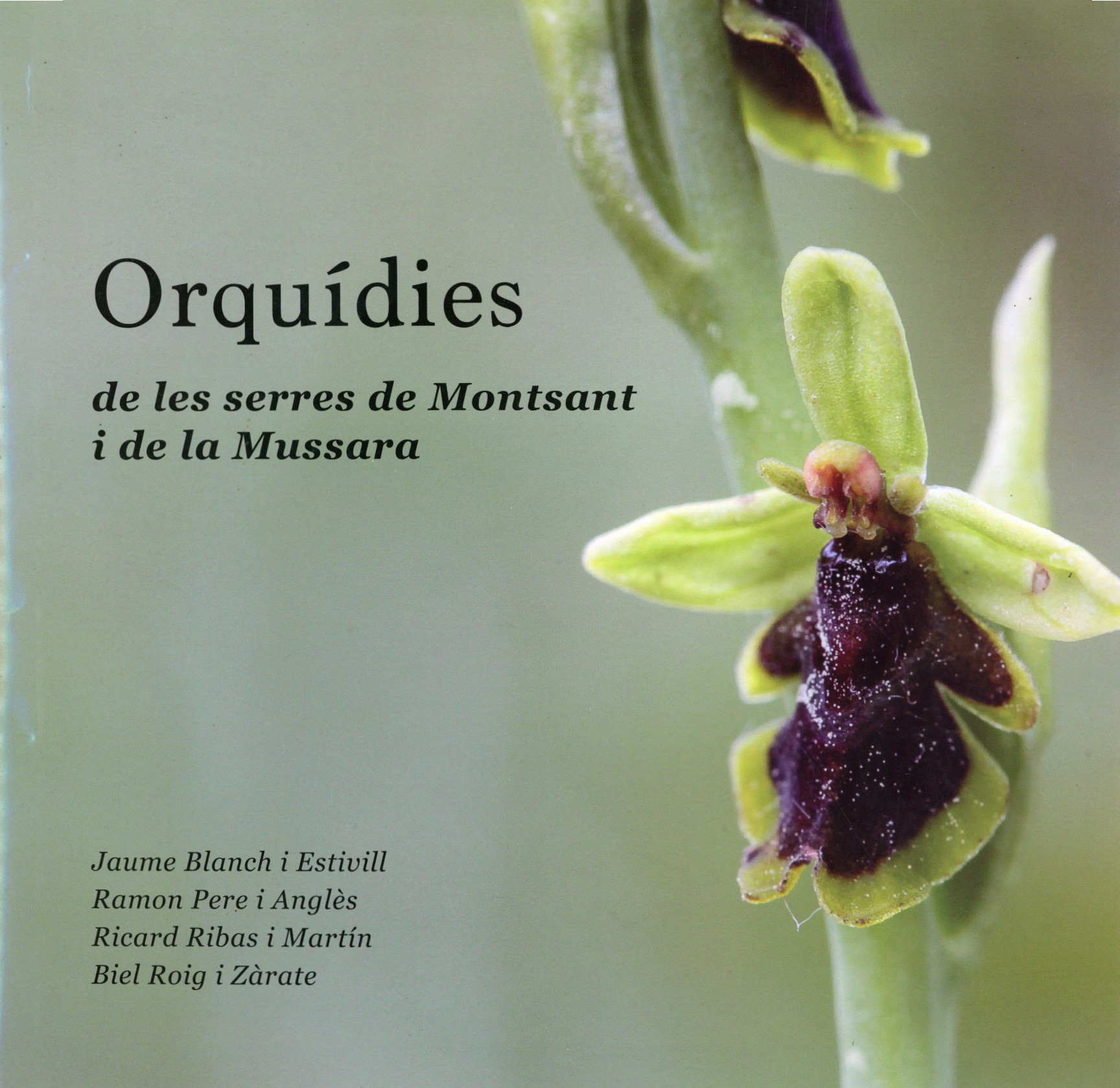 Orquídies de les serres de Montsant i de la Mussara - Portada