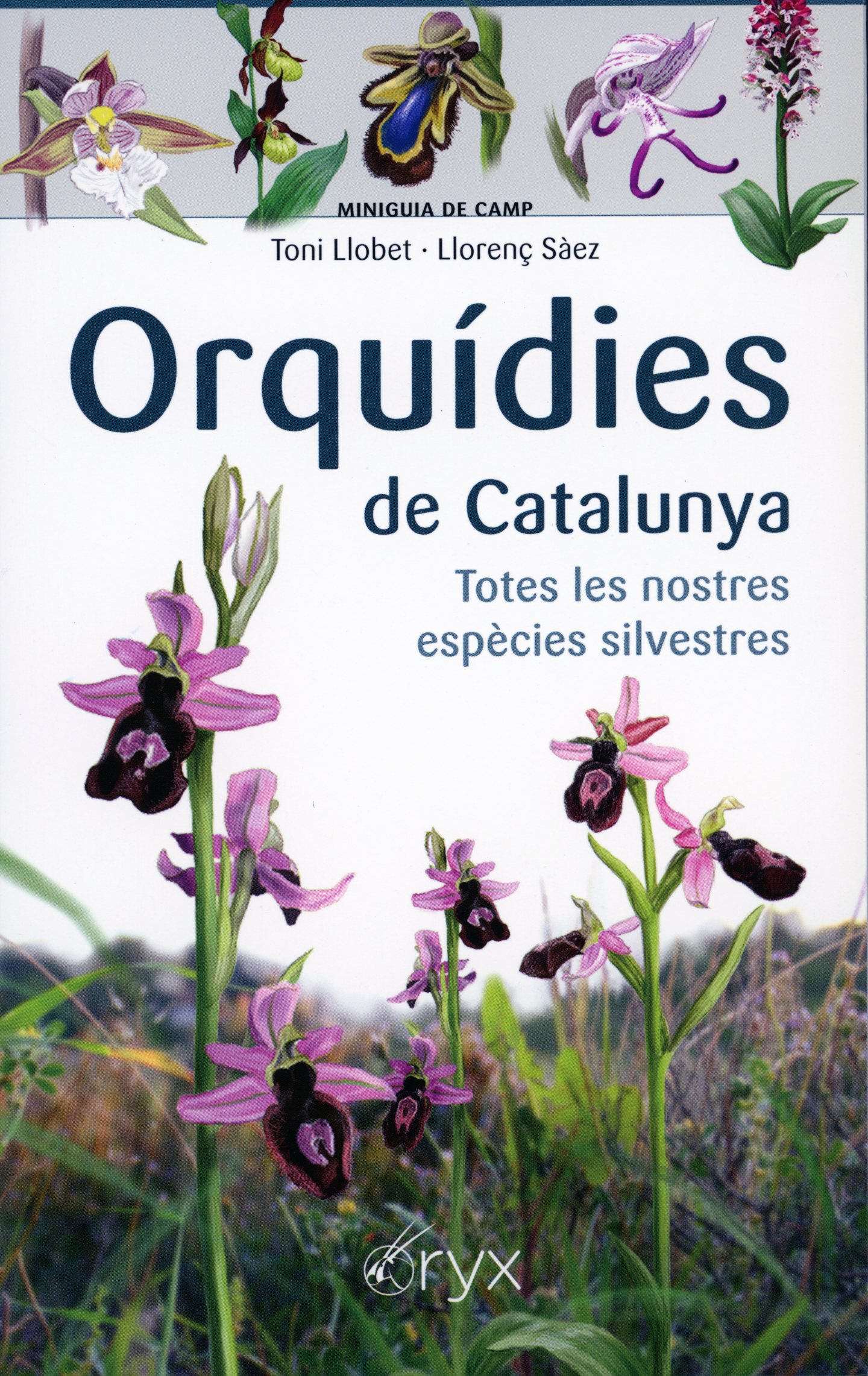Orquídies de Catalunya : Totes les nostres espècies silvestres - Portada