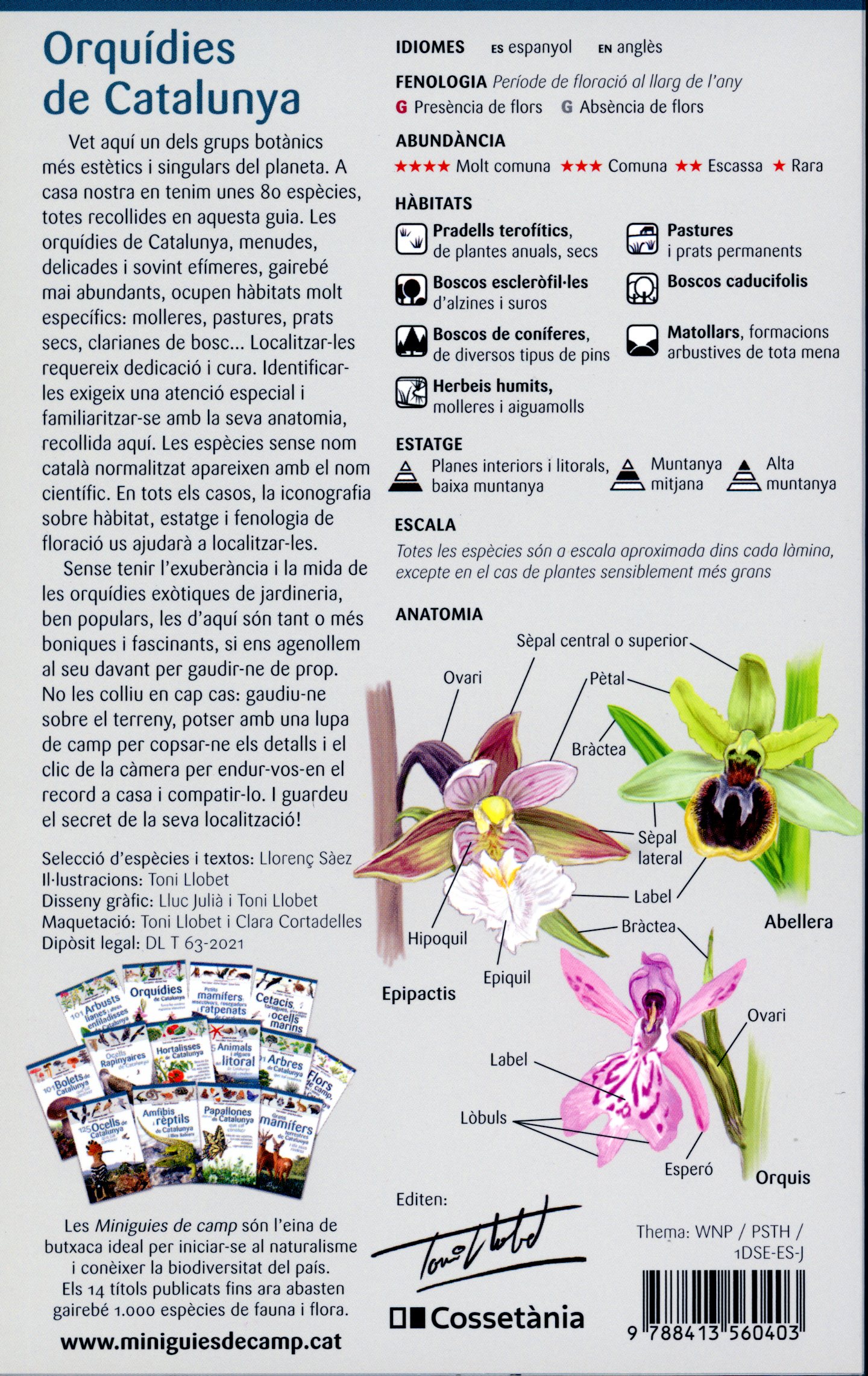 Orquídies de Catalunya : Totes les nostres espècies silvestres - Miniatura 2