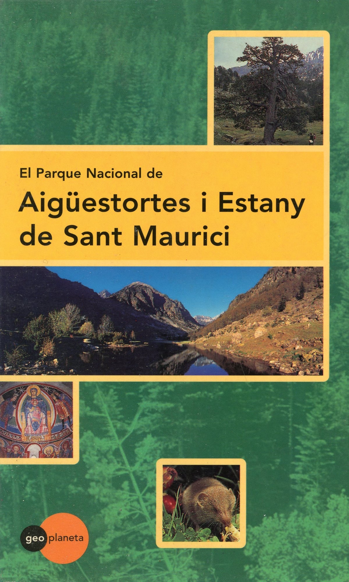 Parque Nacional de Aigüestortes i Estany de Sant Maurici, El - Portada