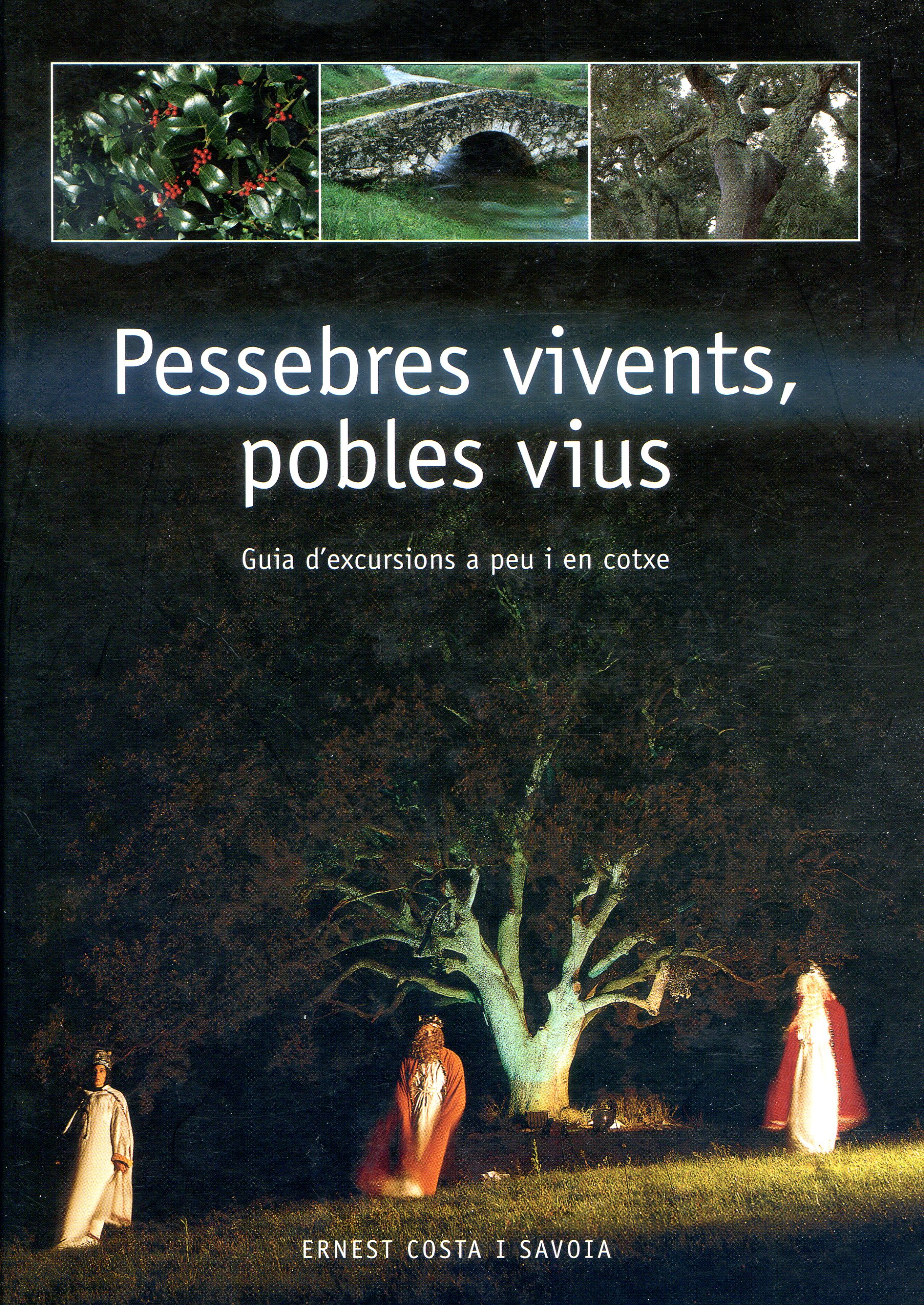 Pessebres vivents, pobles vius : Guia d'excursions a peu i en cotxe - Portada