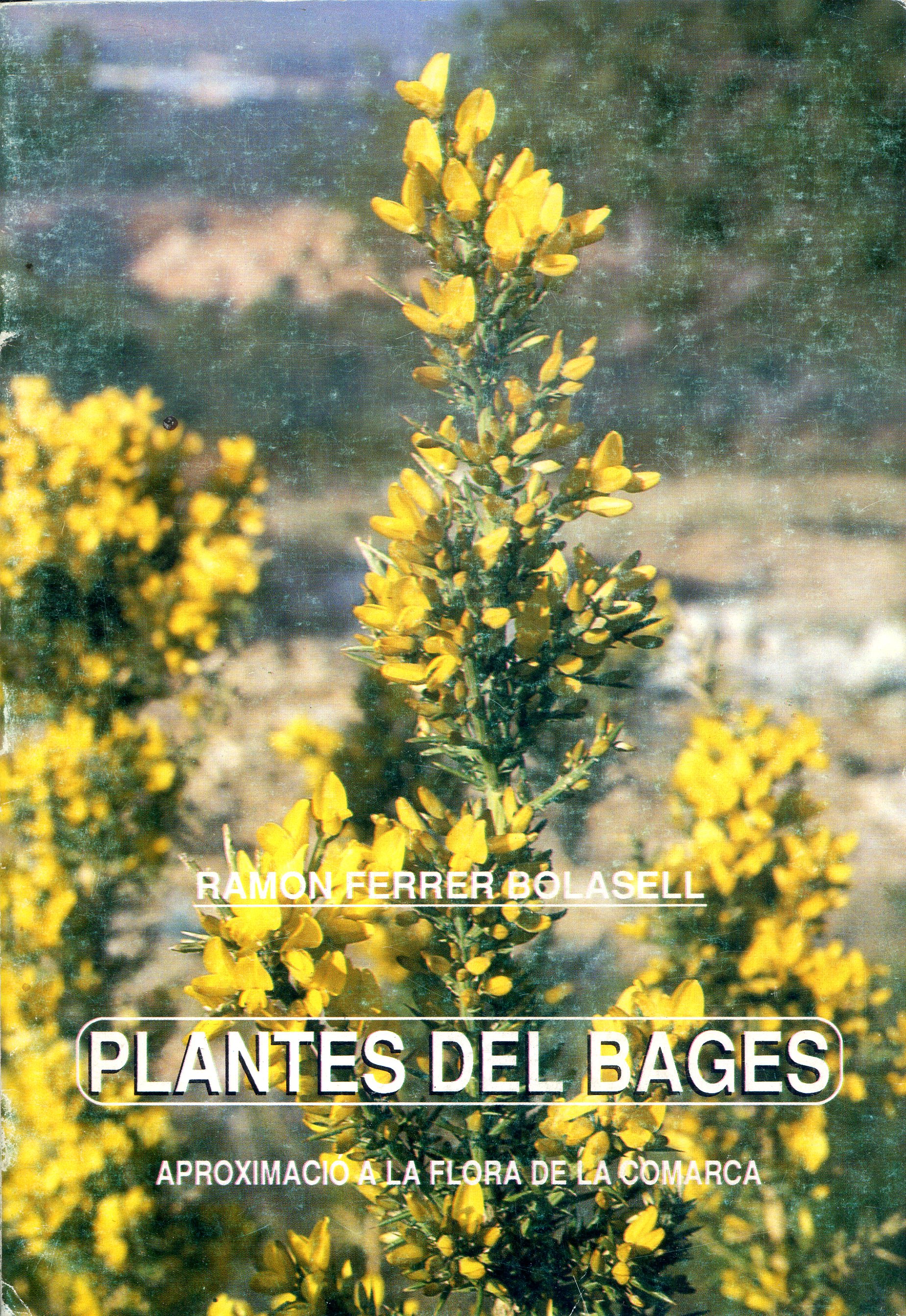 Plantes del Bages : Aproximació a la flora de la comarca - Portada