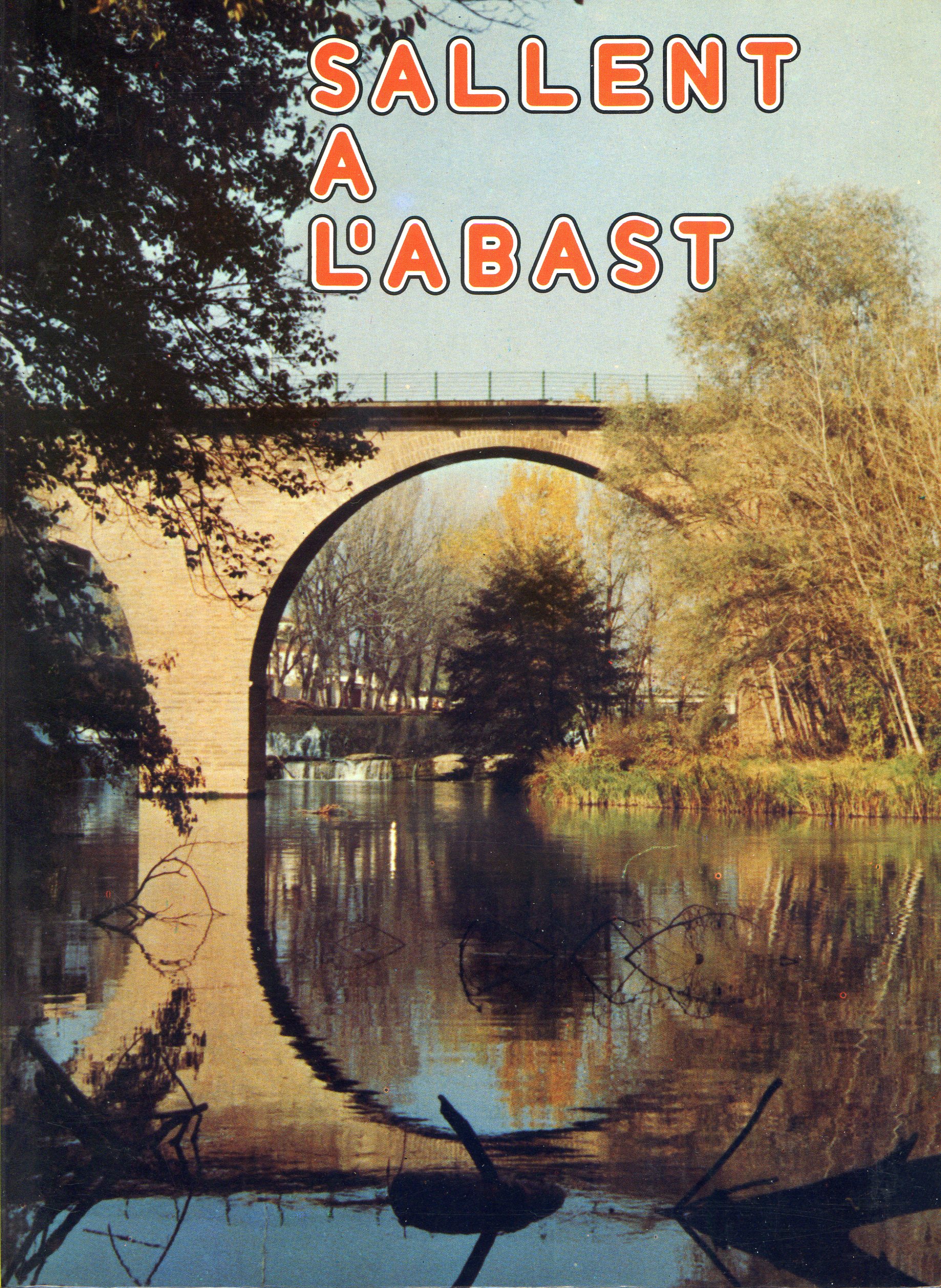 Sallent a l'abast - Portada