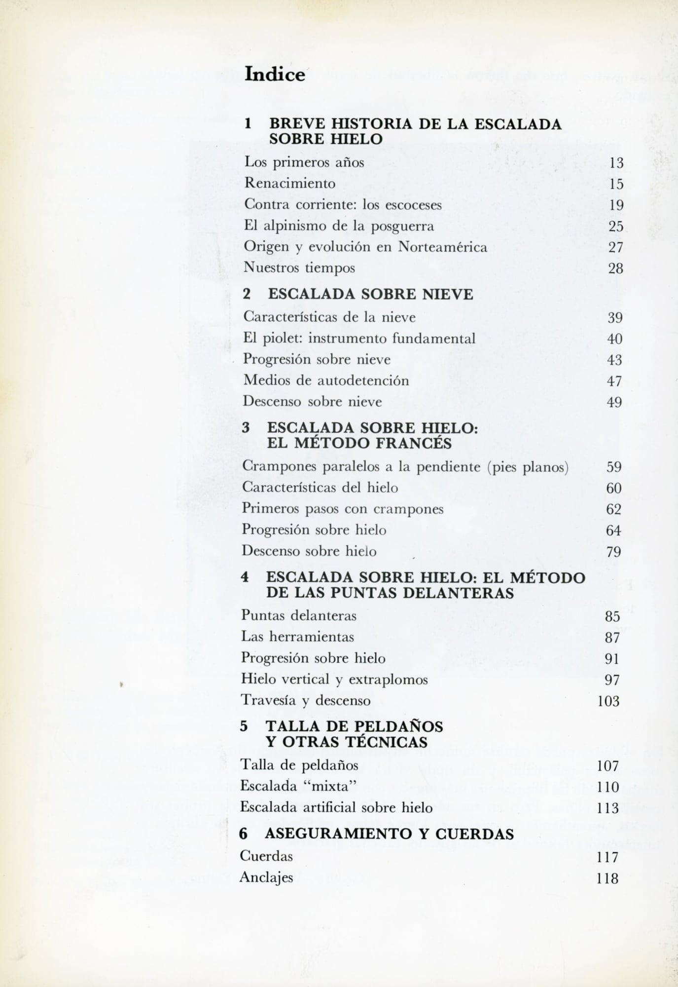 Técnica de hielo - Miniatura 2
