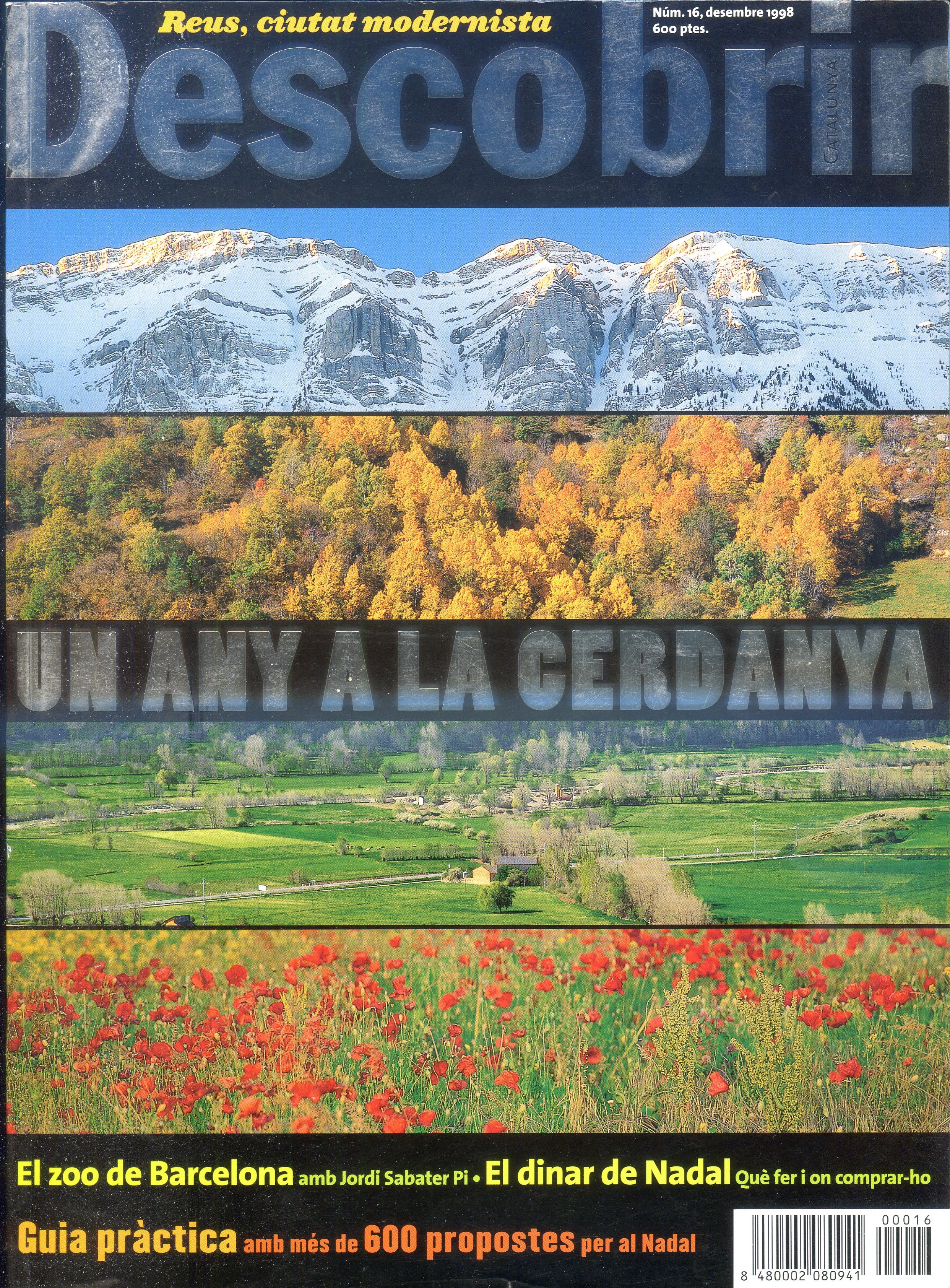 Un any a la Cerdanya - Portada