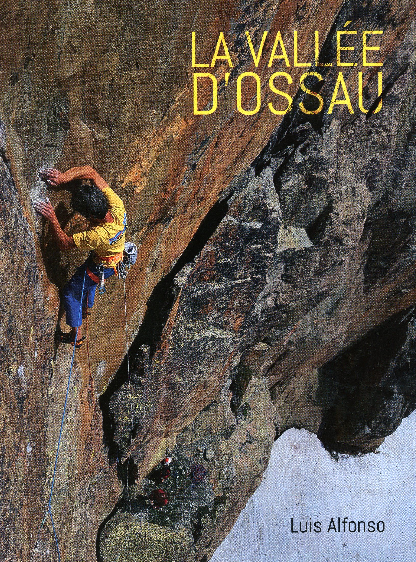Vallée D'ossau, La - Portada