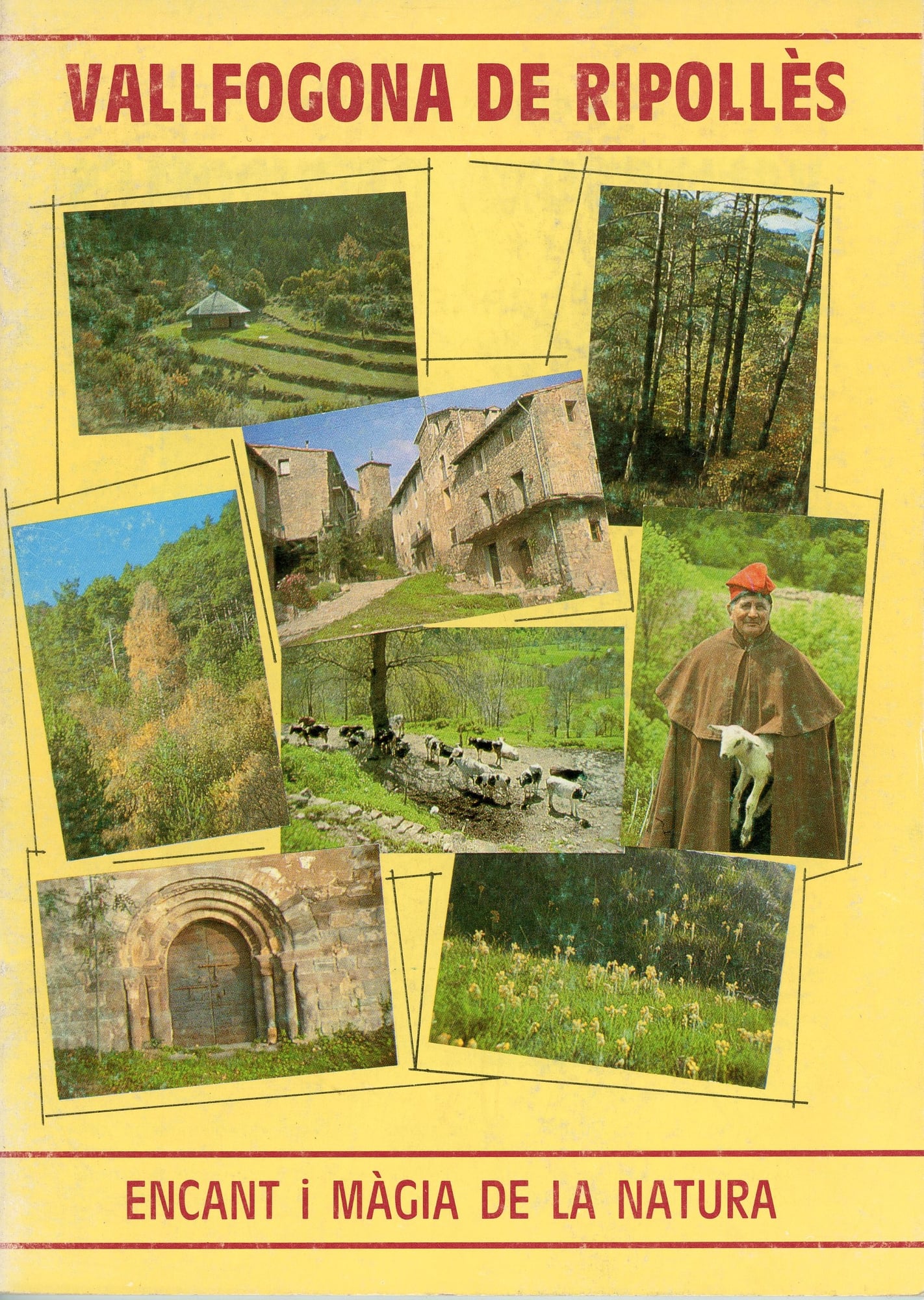 Vallfogona de Ripollès : Encant i màgia de la natura - Portada