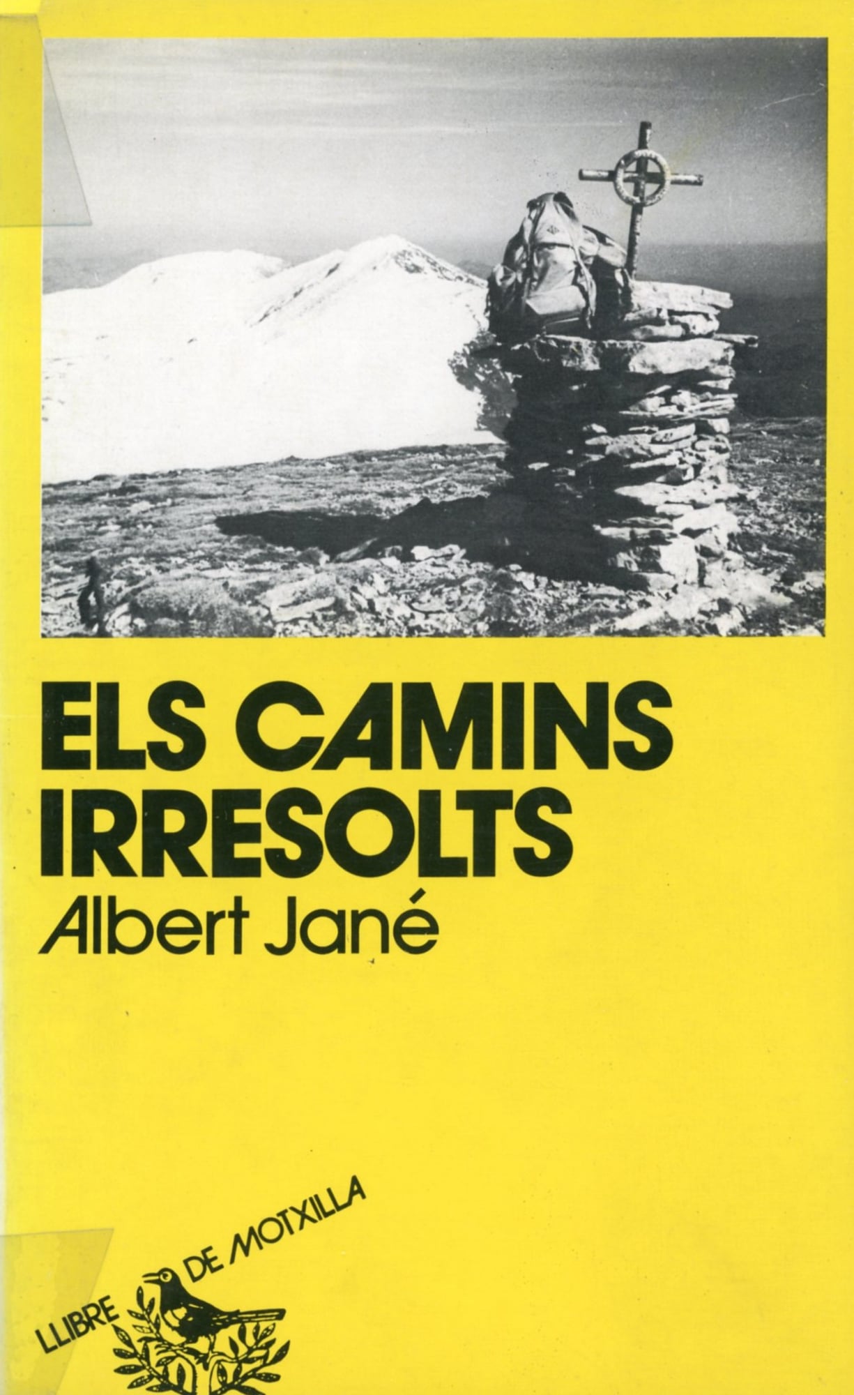 camins irresolts, Els - Portada