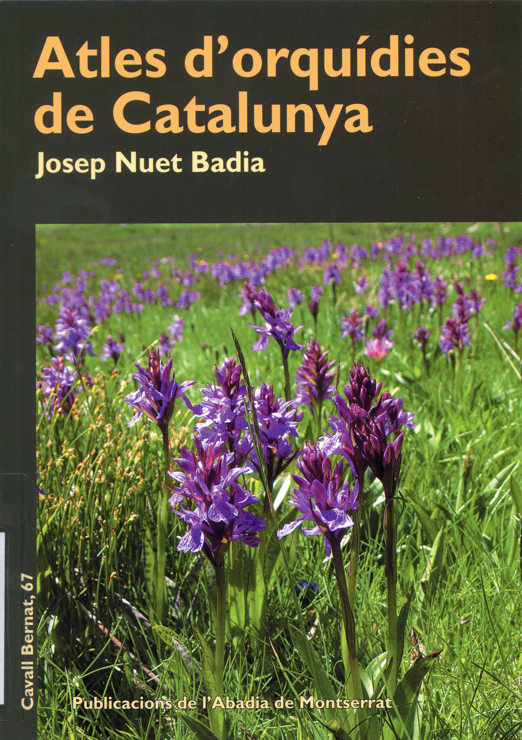 Atles d'orquídies de Catalunya - Portada