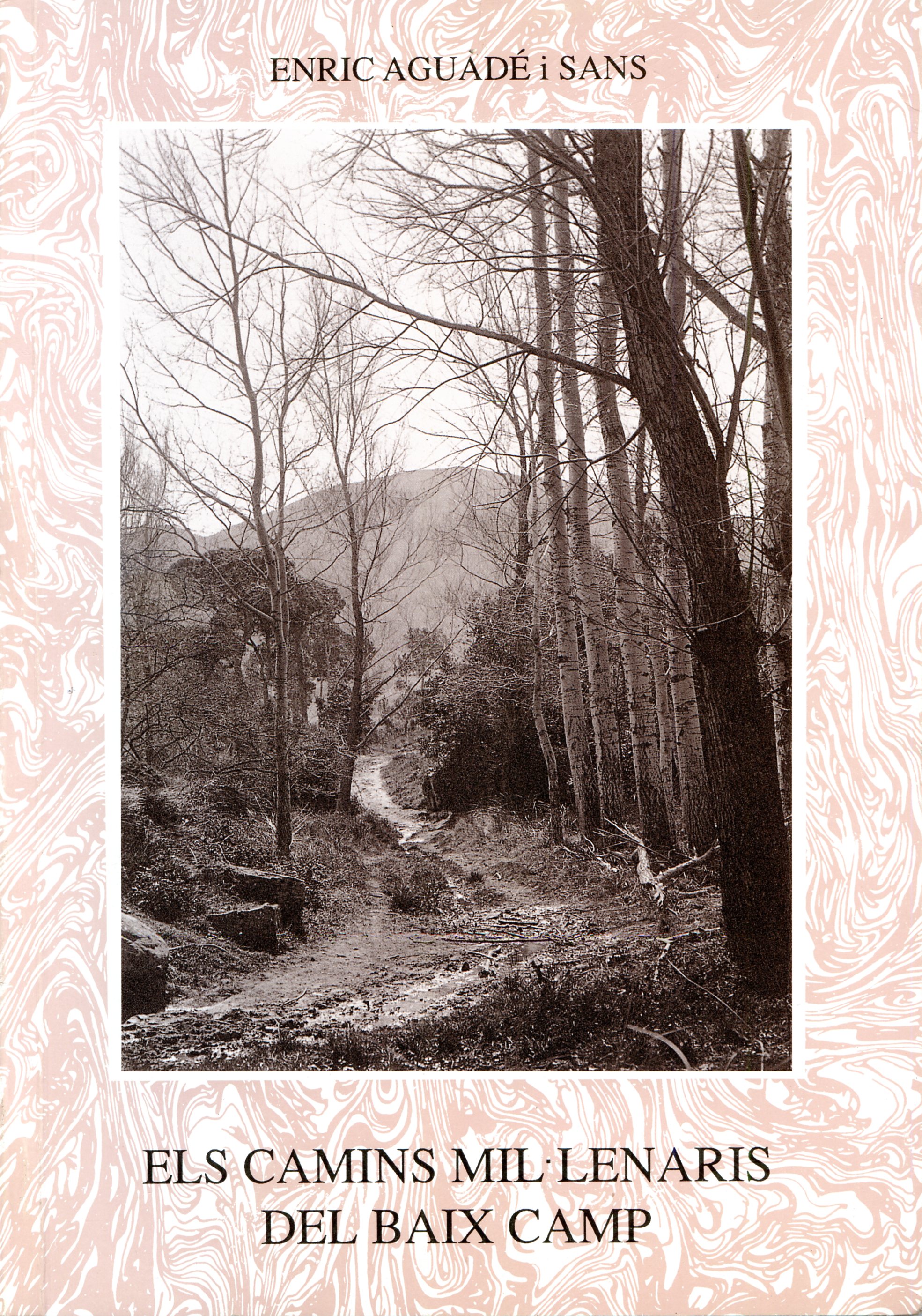 Camins mil·lenaris del Baix Camp, Els - Portada